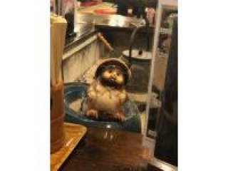 つぶらな瞳で・・・日報紹介第９弾！