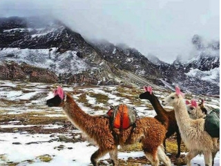 ☺大学生活、何してた？〜その１：バックパッカー編〜