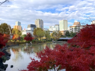 六本木は紅葉シーズン！