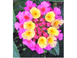 B to Bの企業って実際何やっているの？