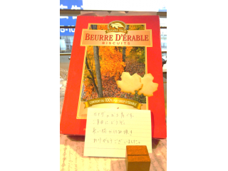 【ＮＰＣの場合】海外留学からの職場復帰