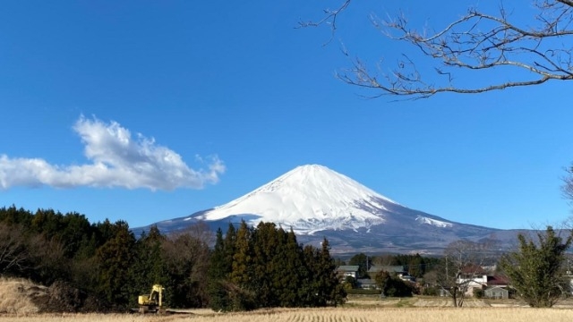 あけましておめでとうございます！