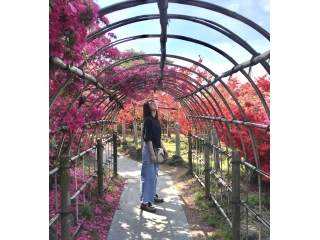 10日ぶりの出社