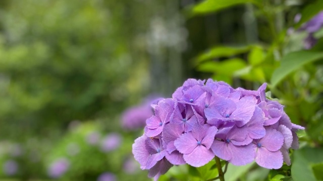 【LH2023年卒】7月会社説明会開催日のお知らせ