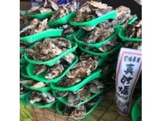 今シーズン最後の牡蠣奉行、各地で開催中です。