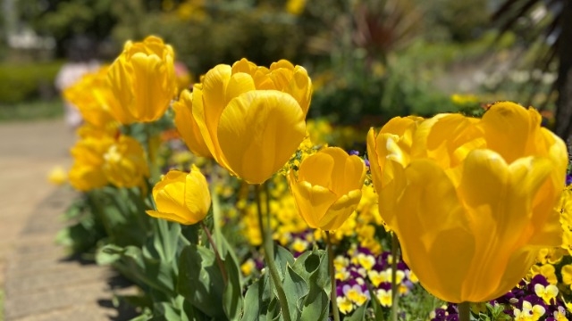 【LHお知らせ】2023年卒新卒採用を始めます！