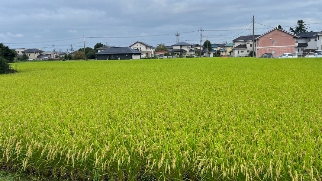 北関東遠征