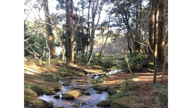 初詣(成田山新勝寺)