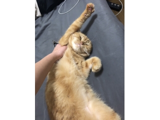 常勤1わん、非常勤1わん