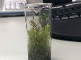 デスクチェック！！