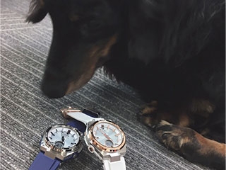 きらきらしておいしそう