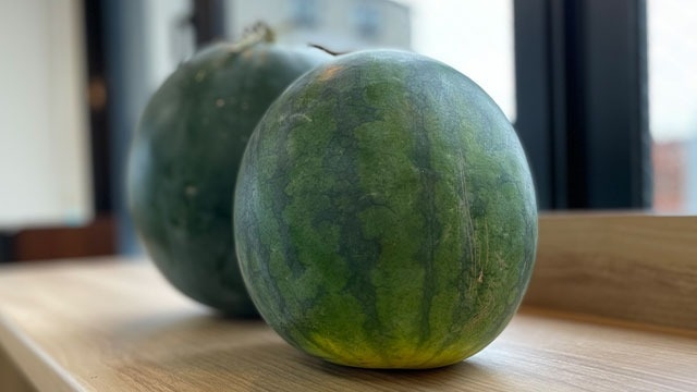 毎年恒例の夏のお便り～♪