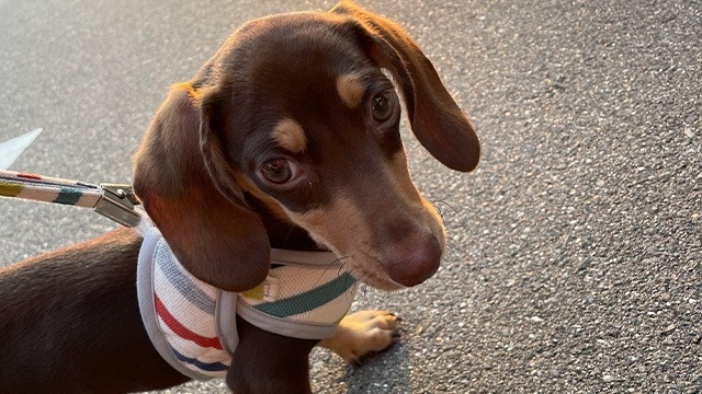 neelのインターンシップ受付中で～す♪