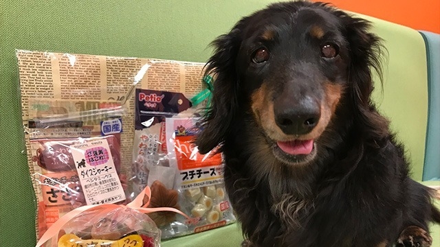 秋の夜長に何しますか？