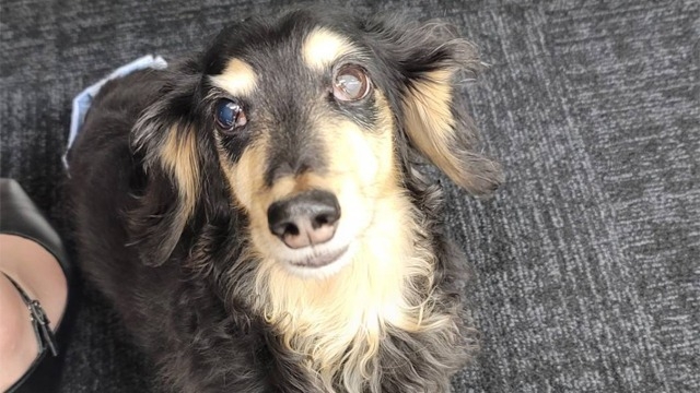 出社した時の幸せとは？