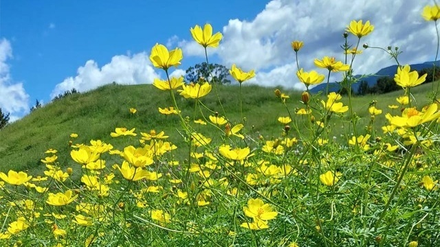 産休・育休にリモートワークまで？！