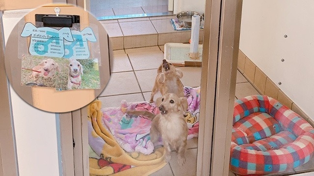 誰や！おまいら誰や！！