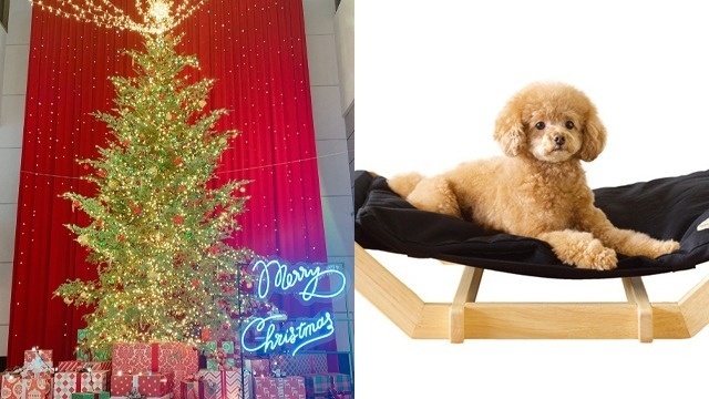 見てはいけない、見ては・・・