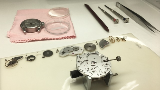 努力の先の貴重な体験♪