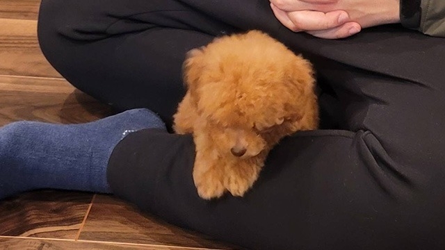 ふふふ、新しい家族が増えました～♪