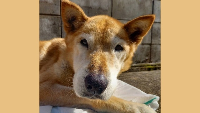 16歳でお爺ちゃん！