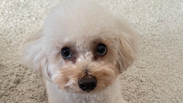 入社当時は苦手でした。。。