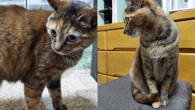 うちの子が結局一番♡