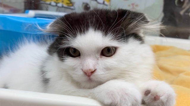 禁断のスペースに足を踏み入れた結果！？