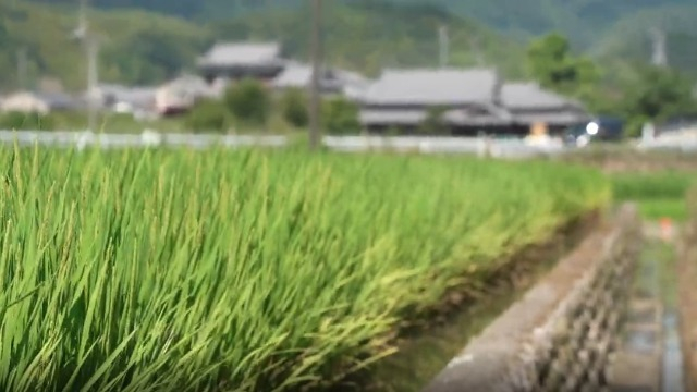 【新聞掲載📰】あの「お米の福利厚生」の取り組みが記事に✨