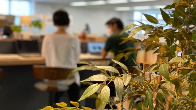 新卒が最初にぶつかる壁とは？