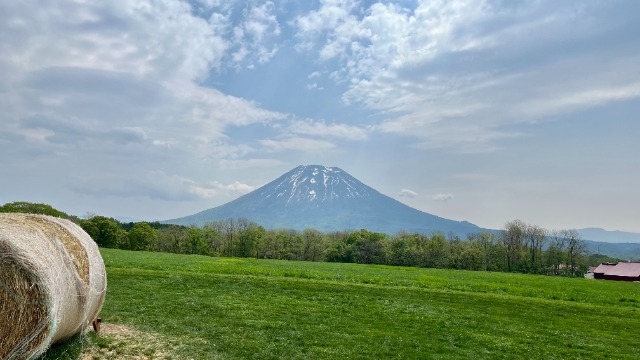 就活も夏も楽しもう！