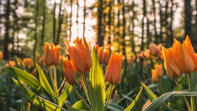 あなた次第！！