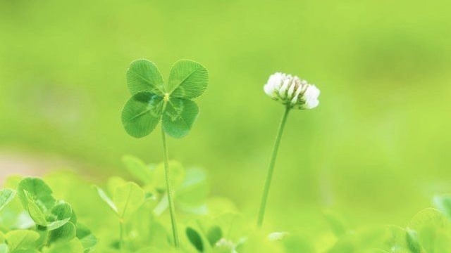 【SDGｓ私募債】発行しました！