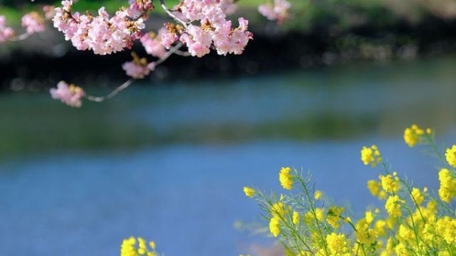 【新入社員の声】＠22年卒！