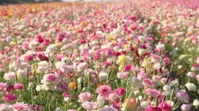 【新入社員の声】＠22年卒！vol.2