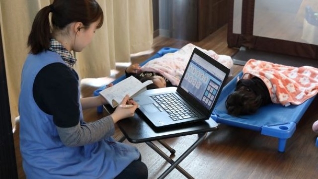 【保育士と子どもをアプリで繋ぐ】代表取締役社長 貞松のブログご紹介