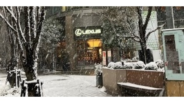 雪が降っています