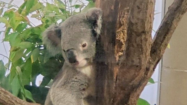 シフト制ってぶっちゃけどんな感じ？【シニア×マーケティングの会社】