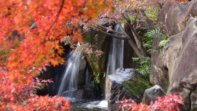 ブログアップ：11日目②　20卒内定者合宿開催！