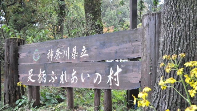 ブログアップ：17日目①   内定者合宿最終日！！