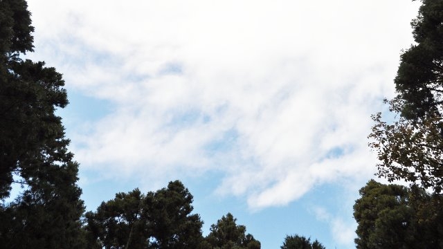 スタッフブログ：21日目　小林の心境＆お知らせ！！