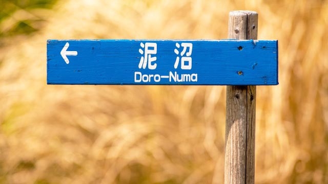 スタッフブログ：25日目②  企業選びについて