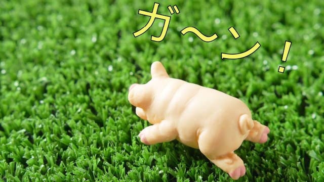 スタッフブログ：32日目② 非常に残念だった件！！