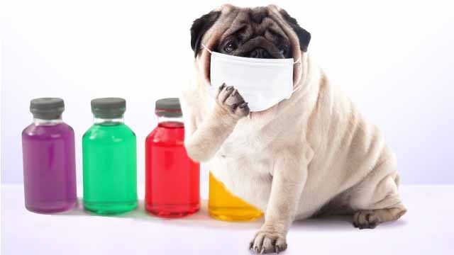 スタッフブログ：42日目②　風邪が良くならないっす！