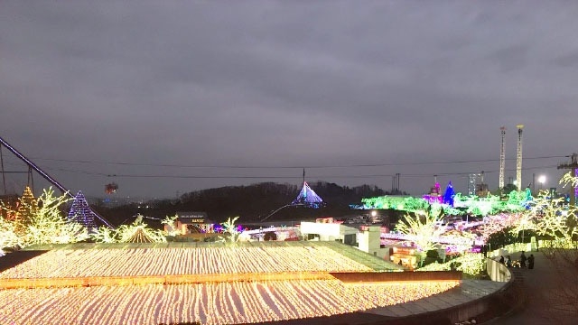 スタッフブログ：56日目　「よみうりランド」のイルミネーション！！