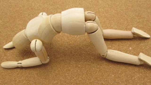 残念....　スタッフブログ：77日目