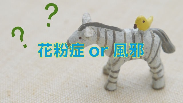 困ってます.... スタッフブログ：89日目