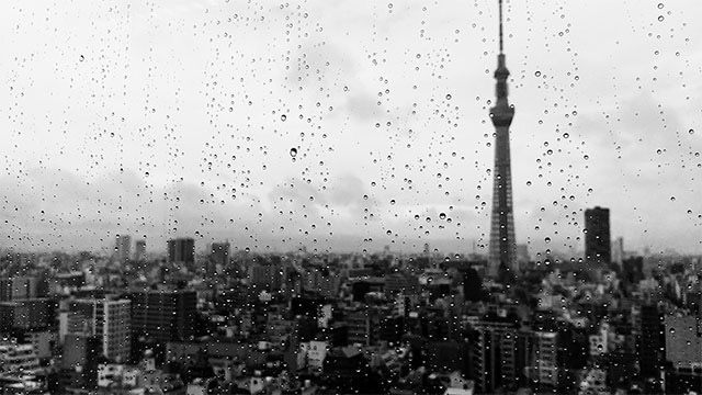 本日も雨ですねぇ.... スタッフブログ：170日目