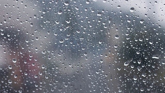 おはよーモーニング♬ 　スタッフブログ：171日目