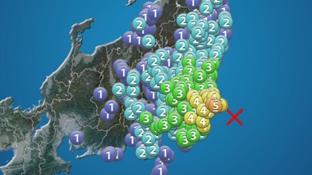 今から備えましょう！！　スタッフブログ：173日目②
